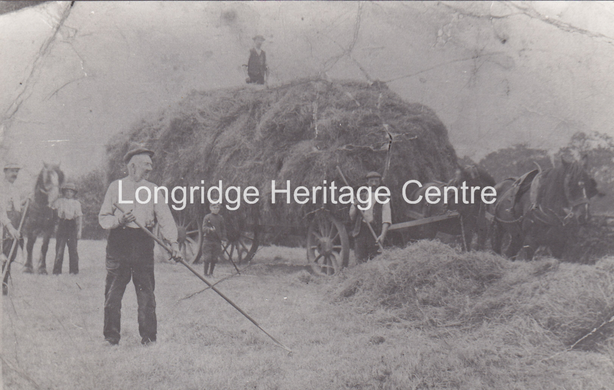 139C - Haymaking - Near Chipping using Berrys men and wagons - Unknown